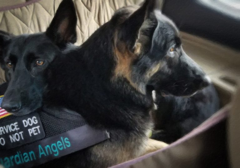 community-foundation-news-post-guardian-angels