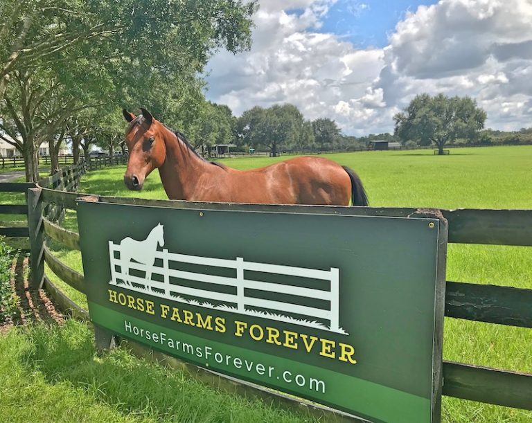 Image Community Foundation for Ocala/Marion County