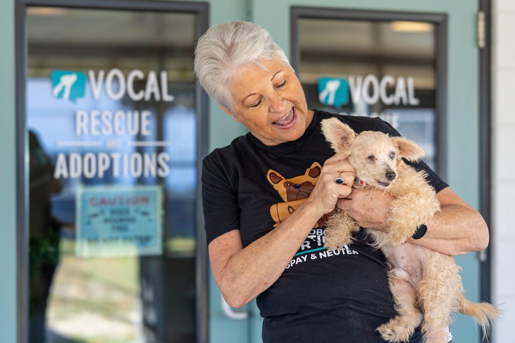 VOCAL (Voices of Change Animal League)
